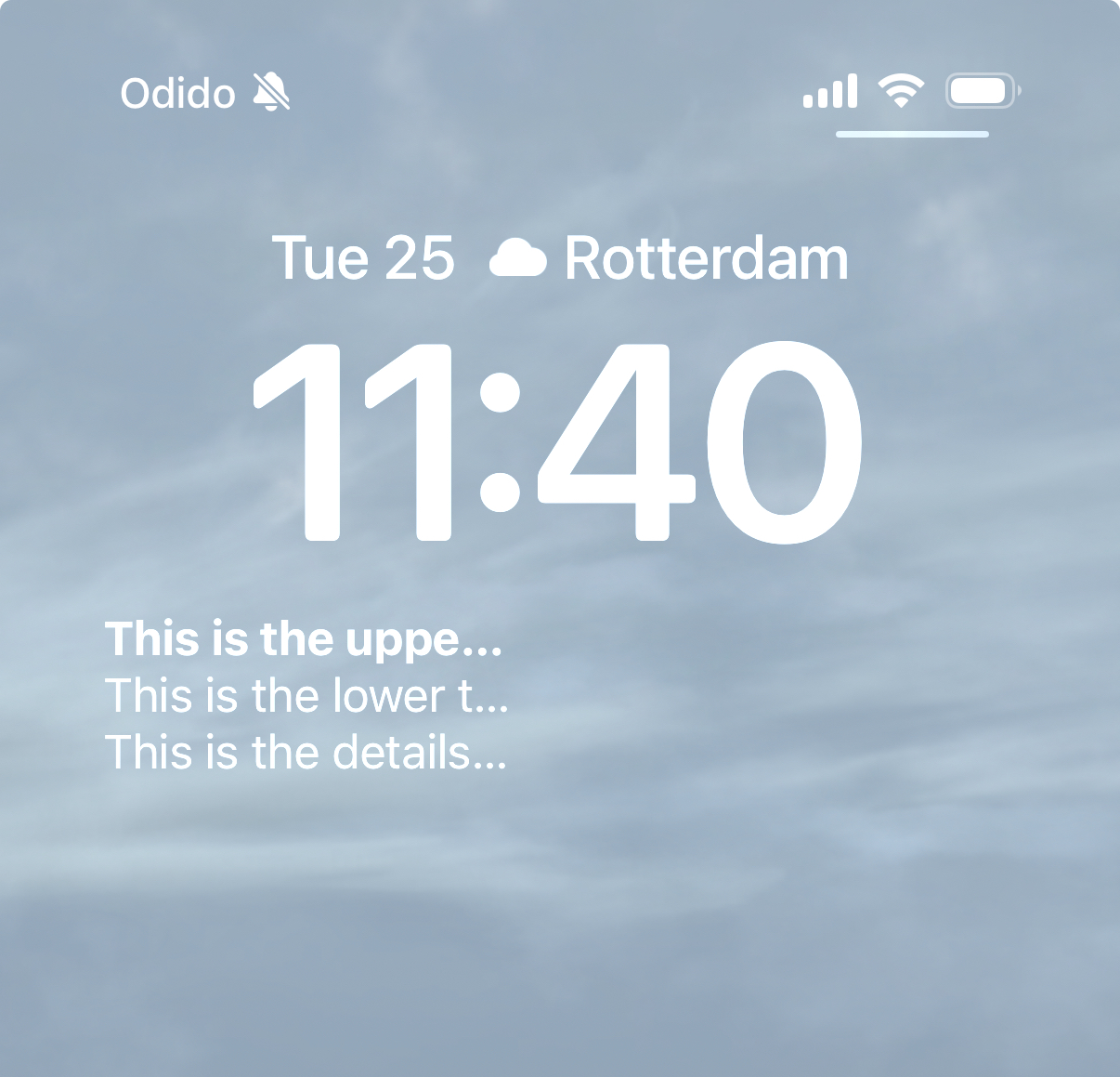 Details Widget